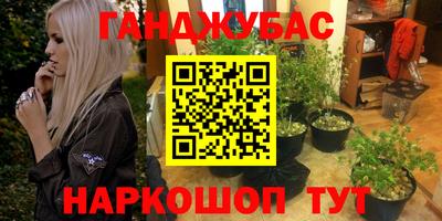 индика Будённовск