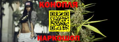 индика Будённовск