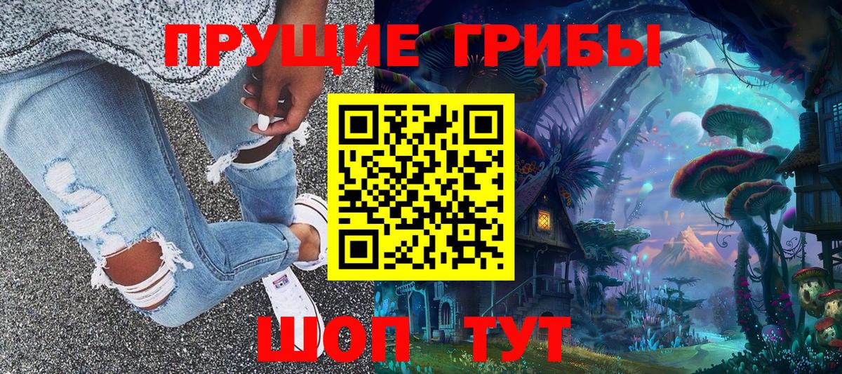 Псилоцибиновые грибы GOLDEN TEACHER Новотроицк