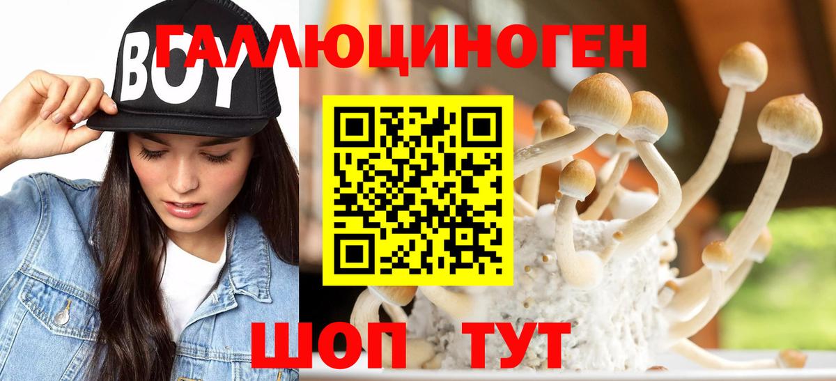 Галлюциногенные грибы Psilocybe  Вход с VPN  Новотроицк 